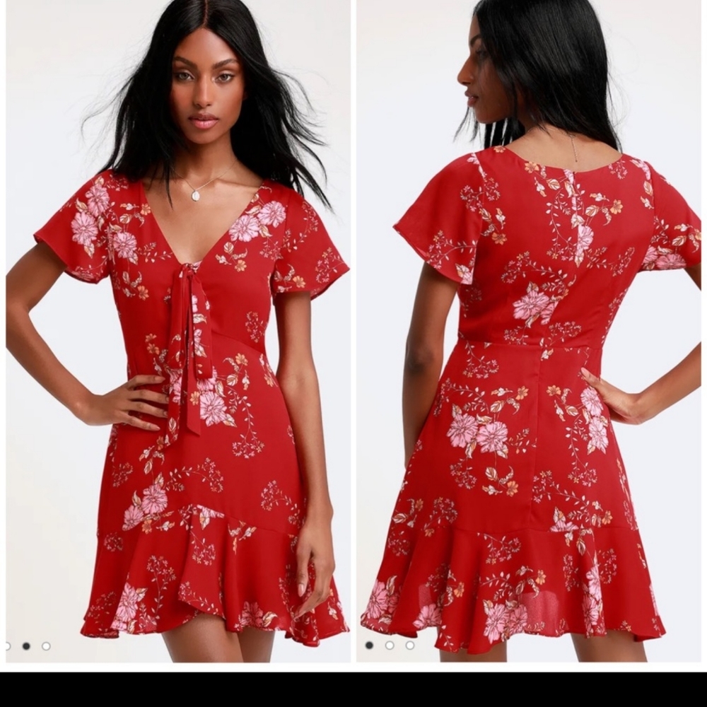 Bb Dakota Love Back Atcha Dress Size 4